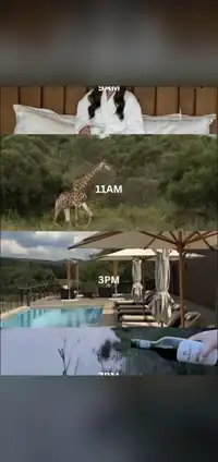 Hippo Lakes social content